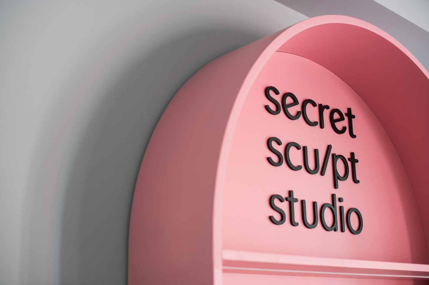 Secret Sculpt Studio, София 100 м2