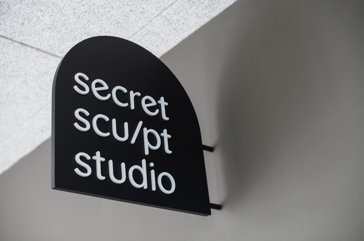 Secret Sculpt Studio, София 100 м2